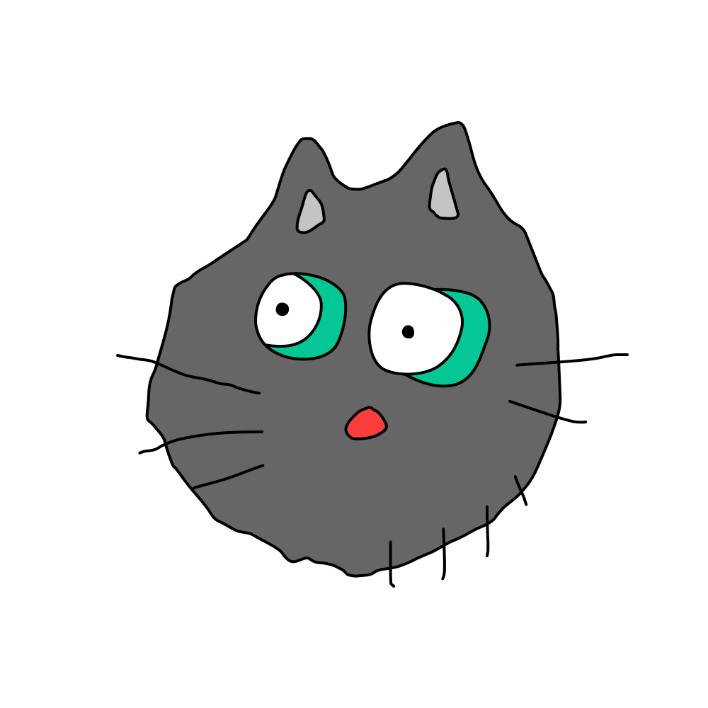 Startled Gray Kitty